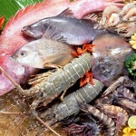 hai san tot cho nguoi gia