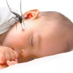 tac dung cua dau tram